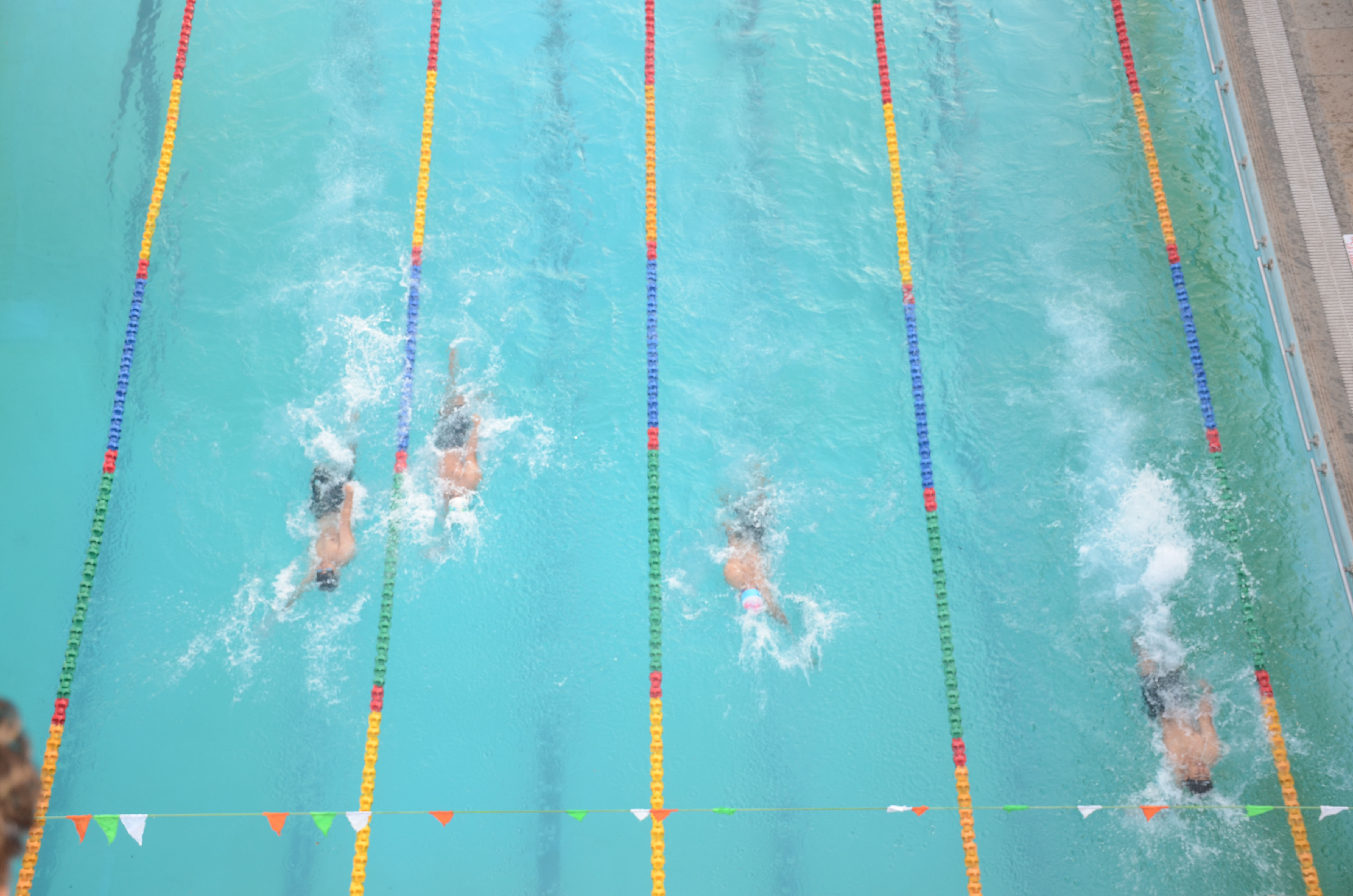 Community or Collection Logo