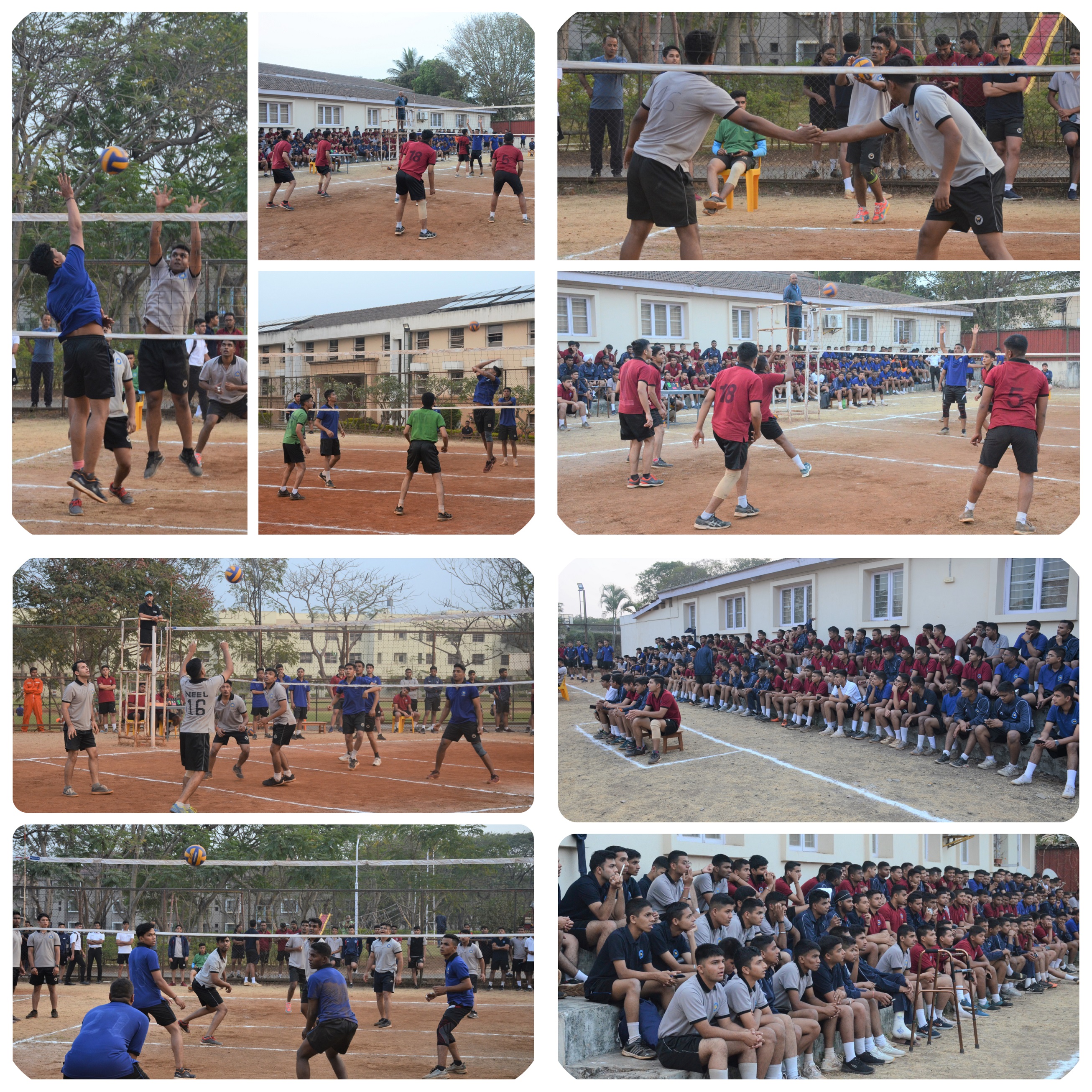 Community or Collection Logo